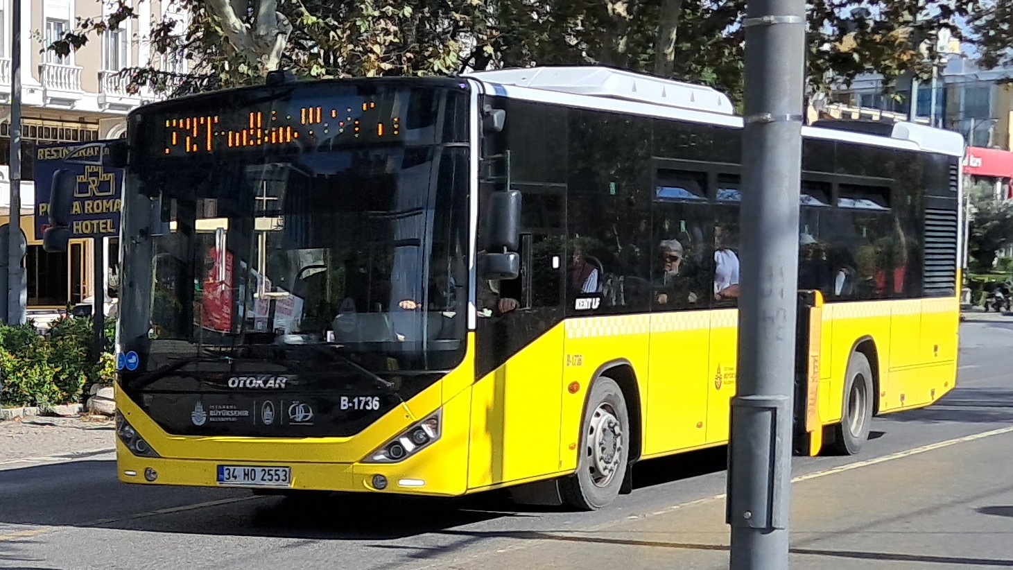 1000034342.jpg