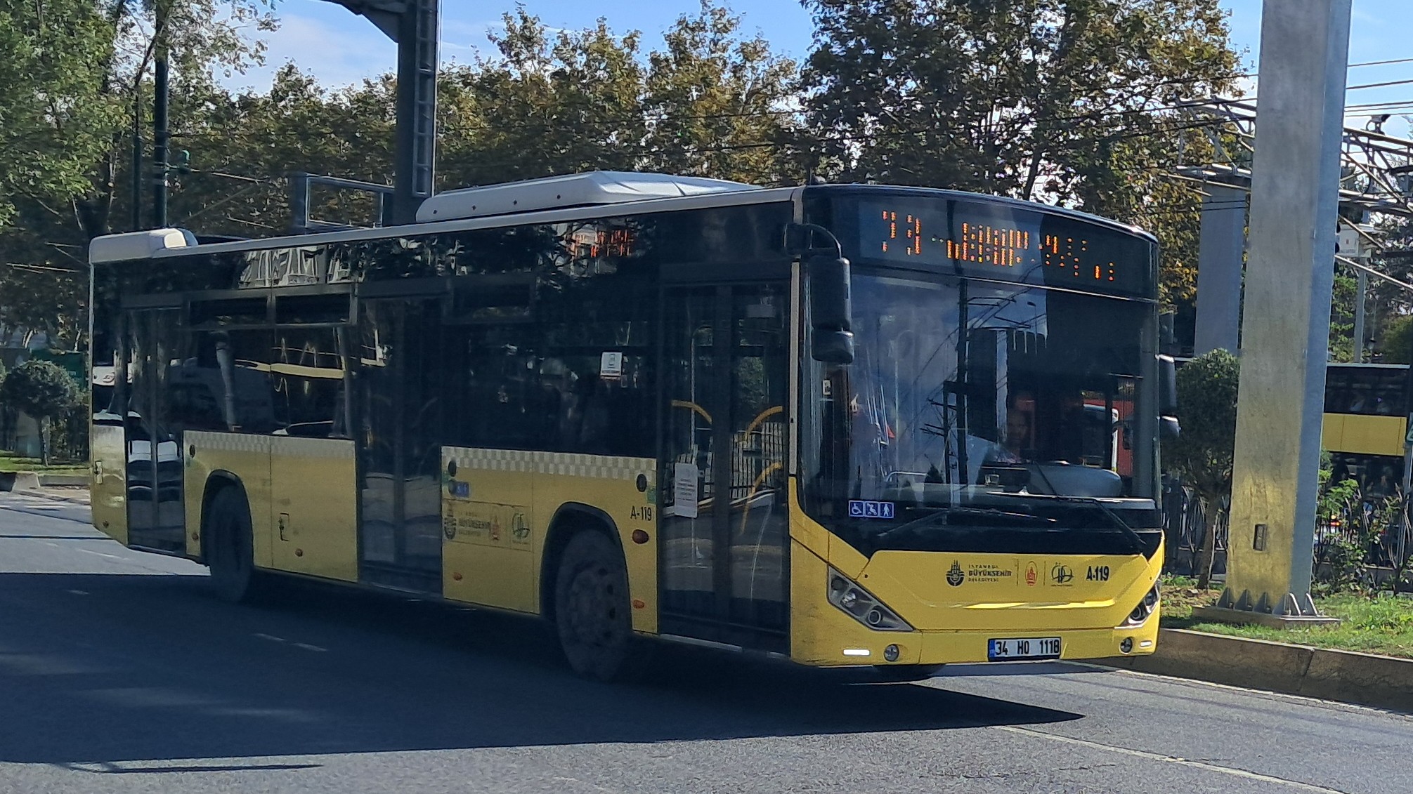 1000034344.jpg