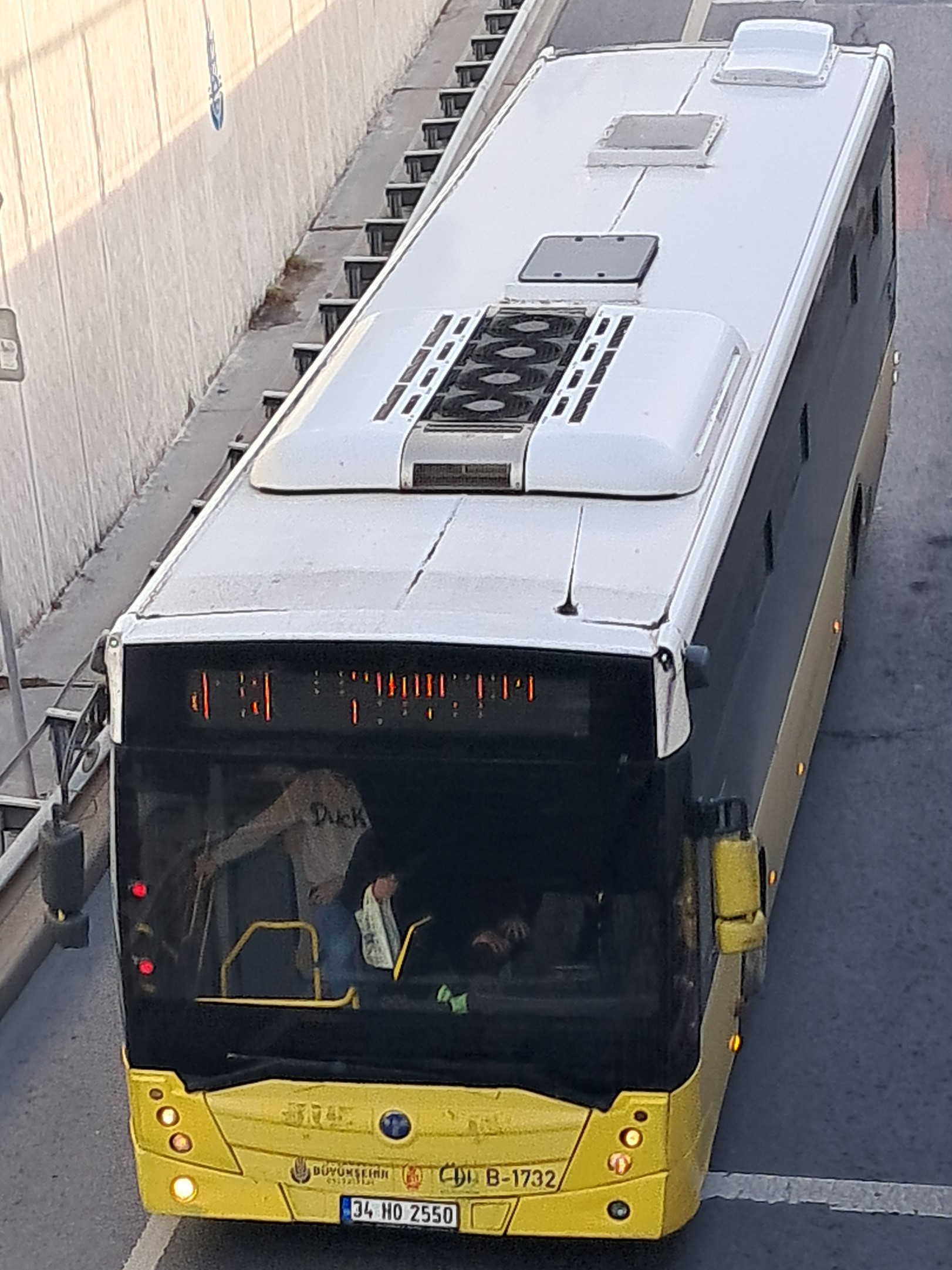 1000034348.jpg