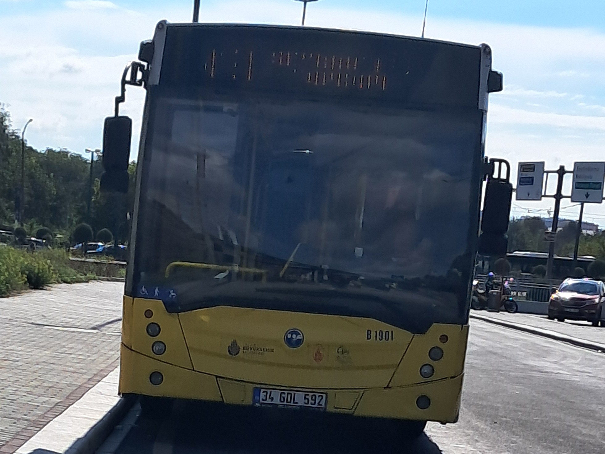 1000034361.jpg