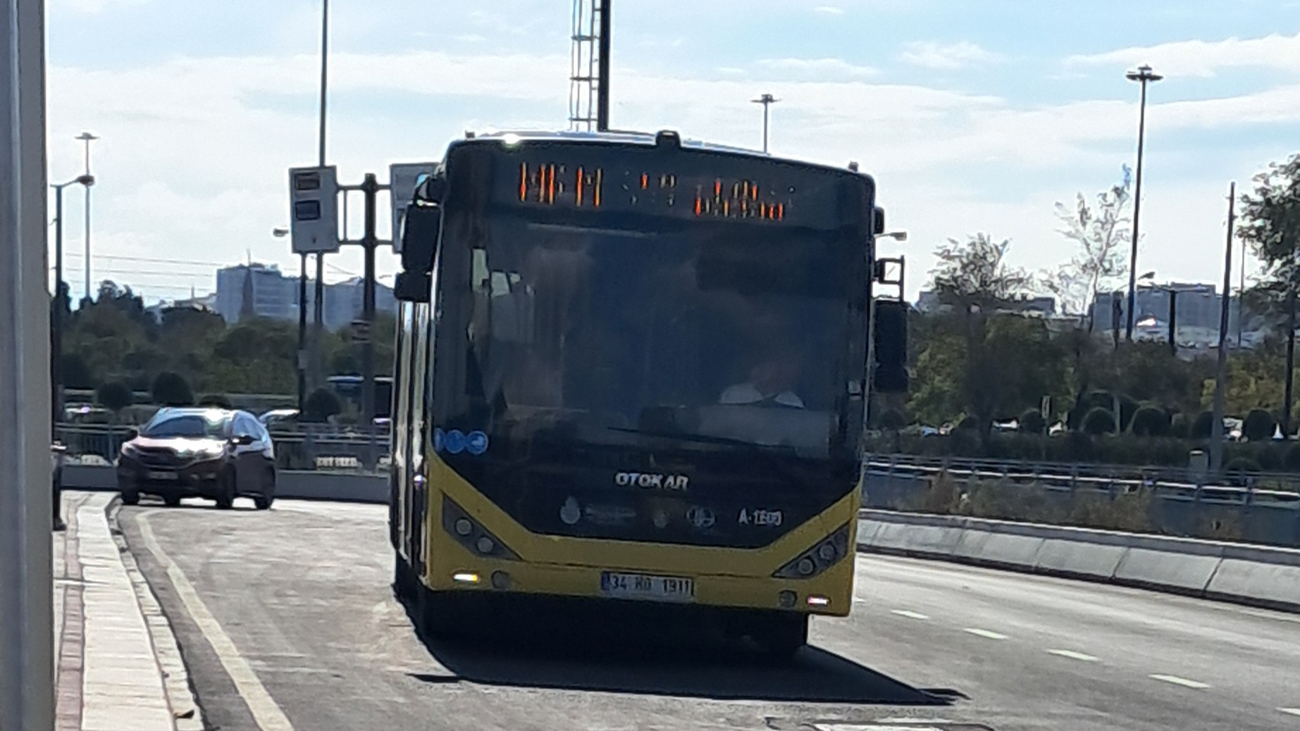 1000034368.jpg