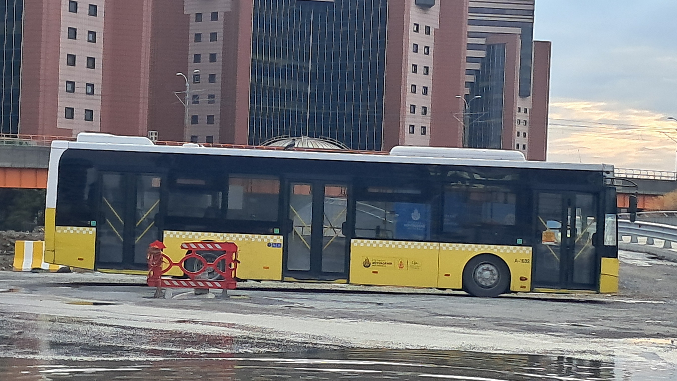 1000035375.jpg