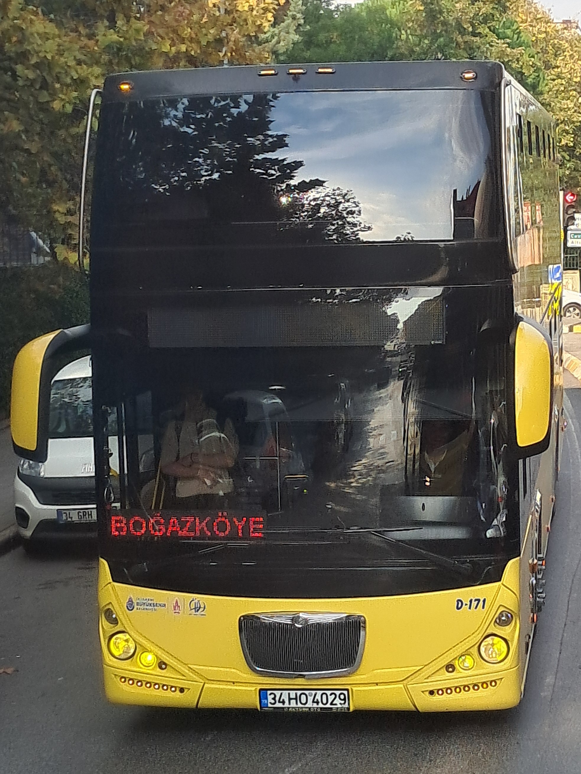 1000035382.jpg