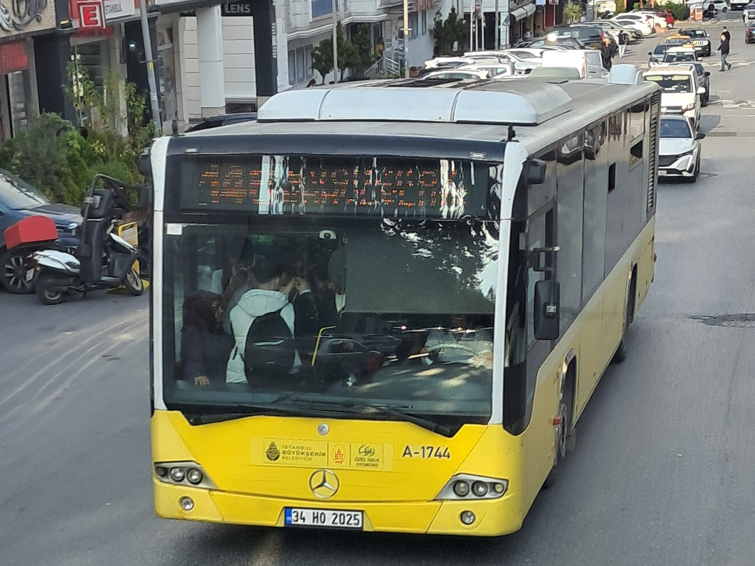 1000035645.jpg