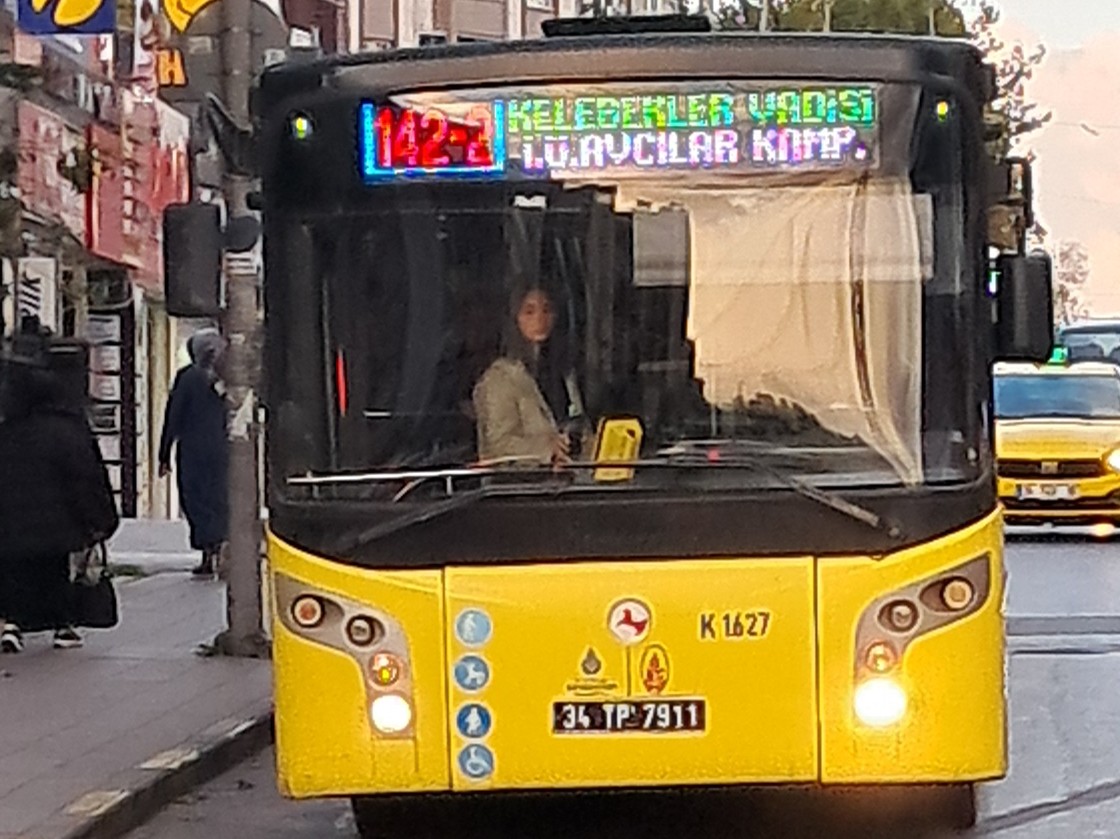 1000035650.jpg