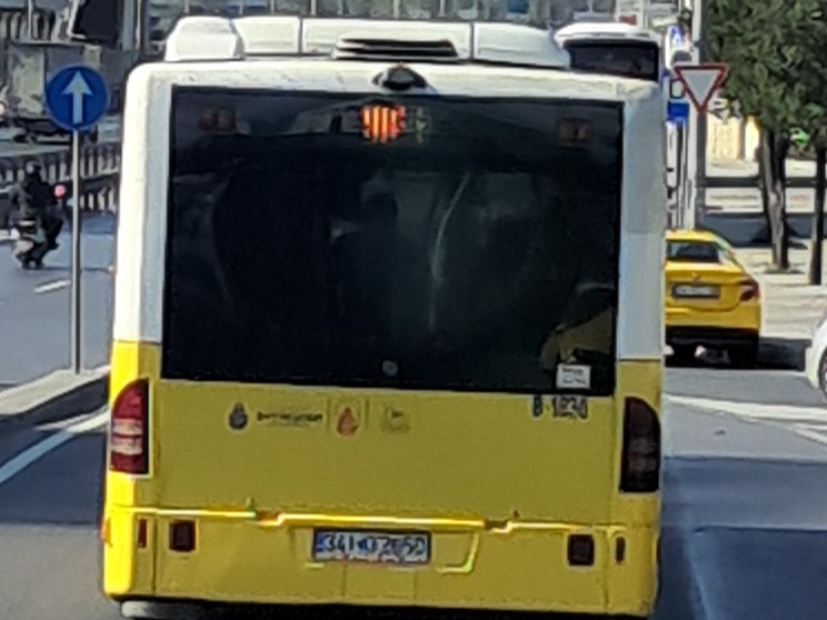 1000035719.jpg