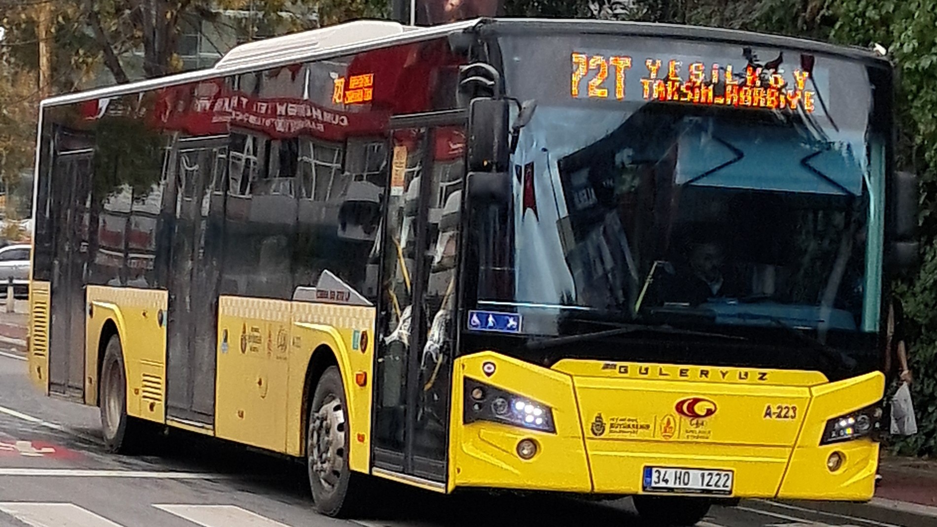 1000035829.jpg