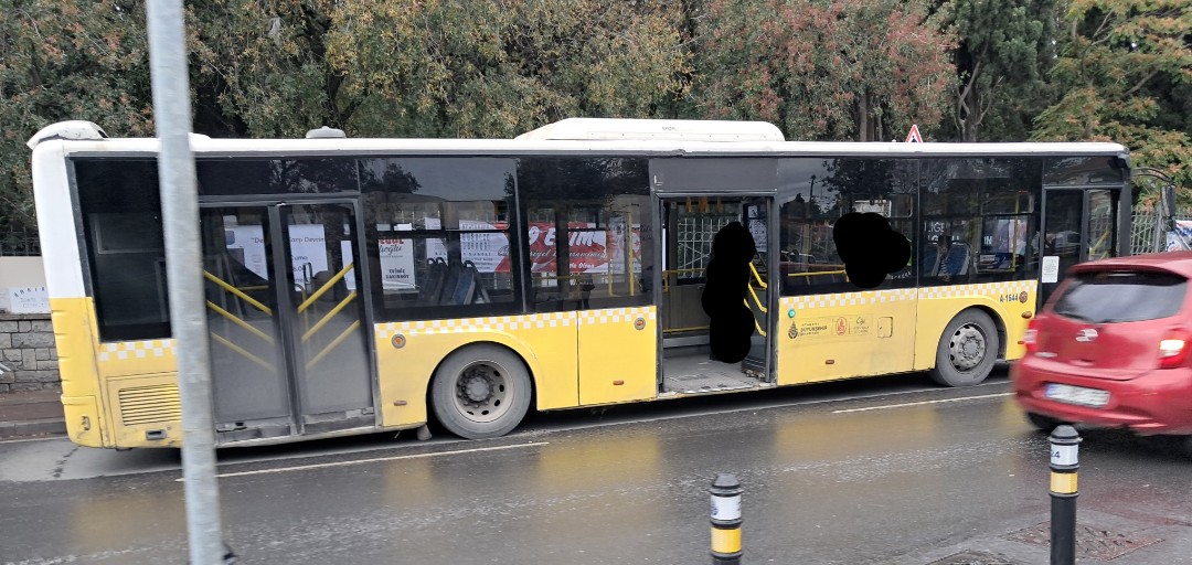 1000036109.jpg 1000036109.jpg