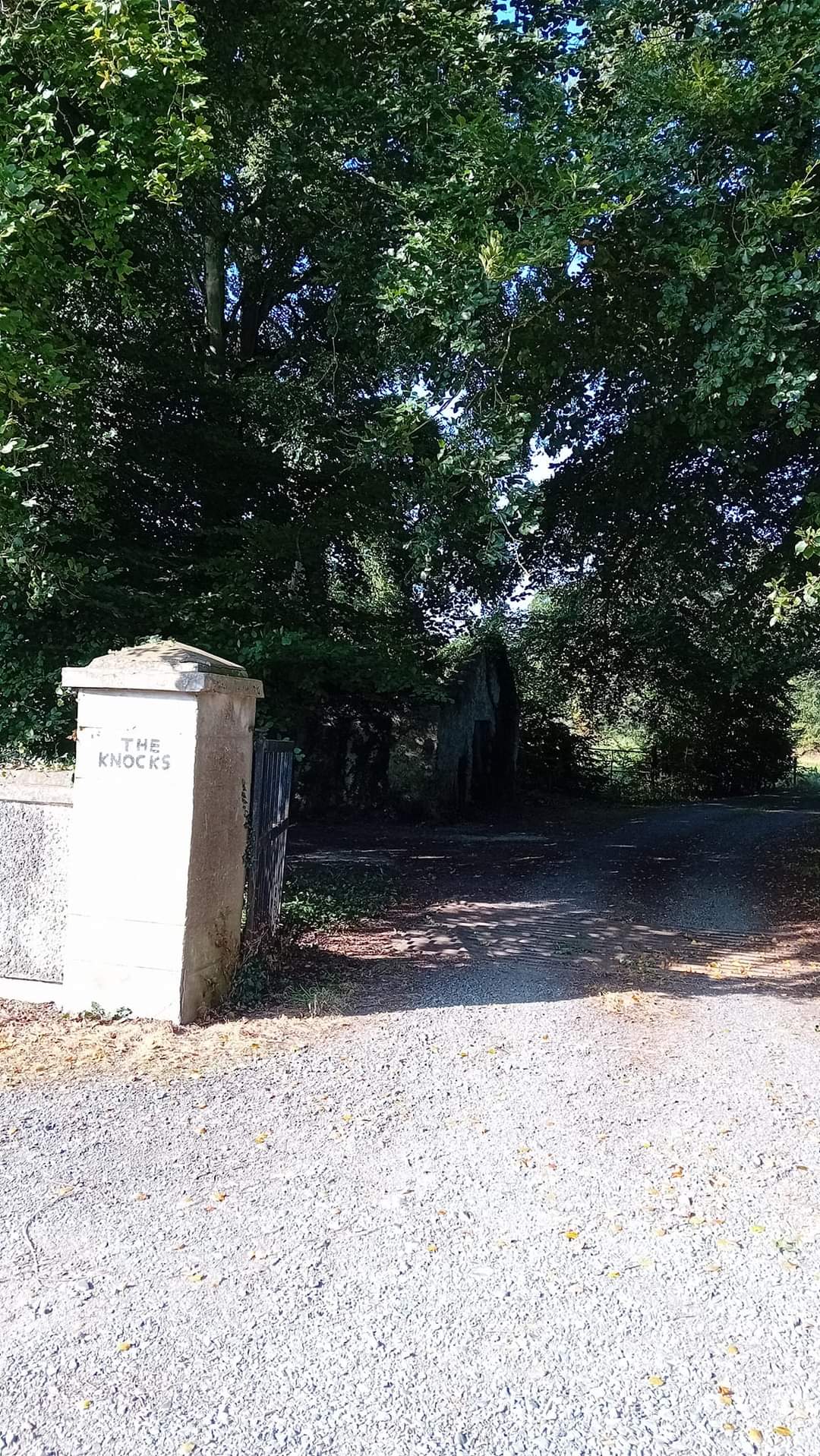 1000044879