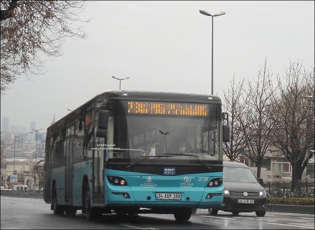 1000092989.jpg