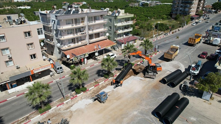 84311_5.jpg