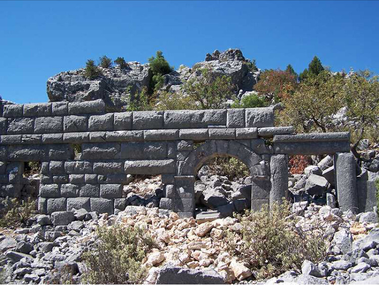 görüntü
