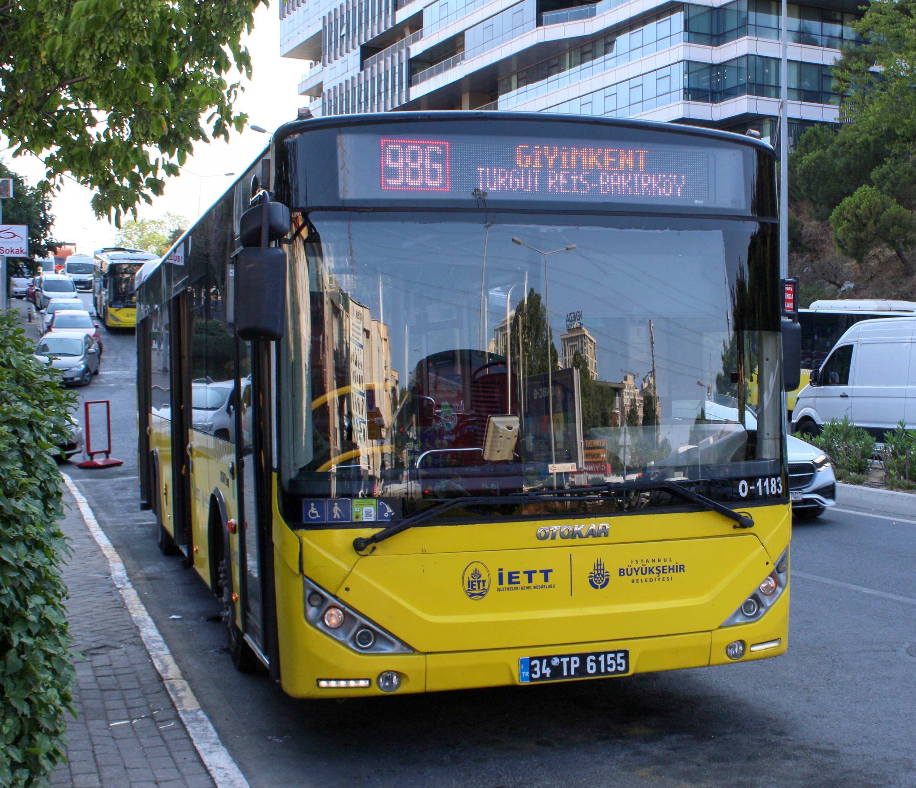 1183-1.jpg