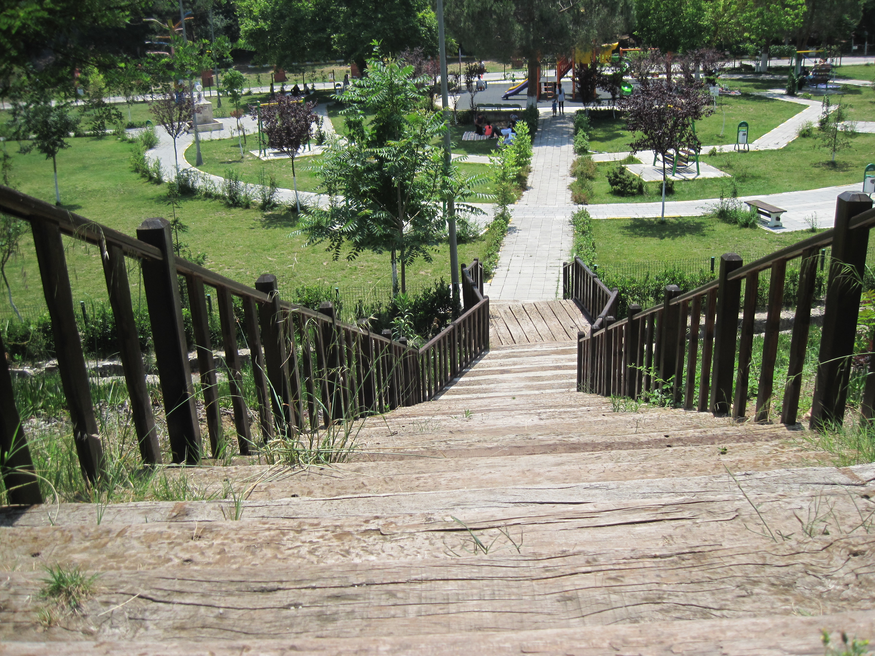 119.JPG