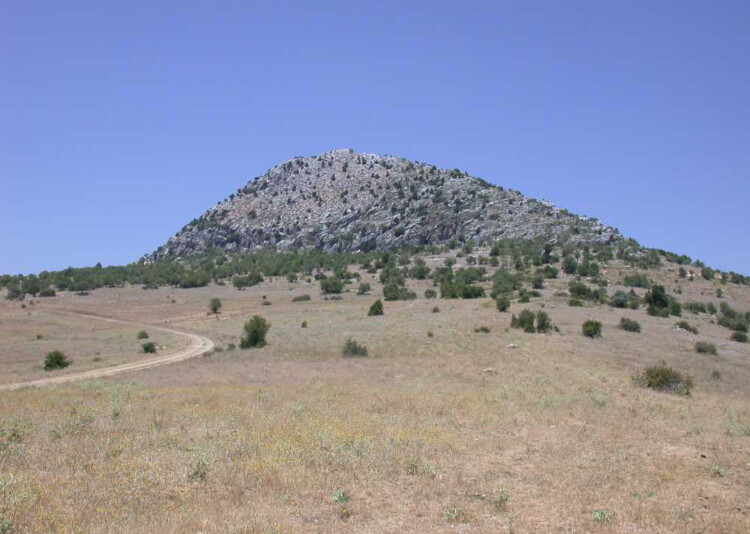 görüntü