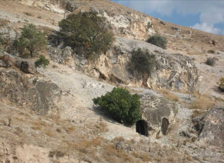 görüntü