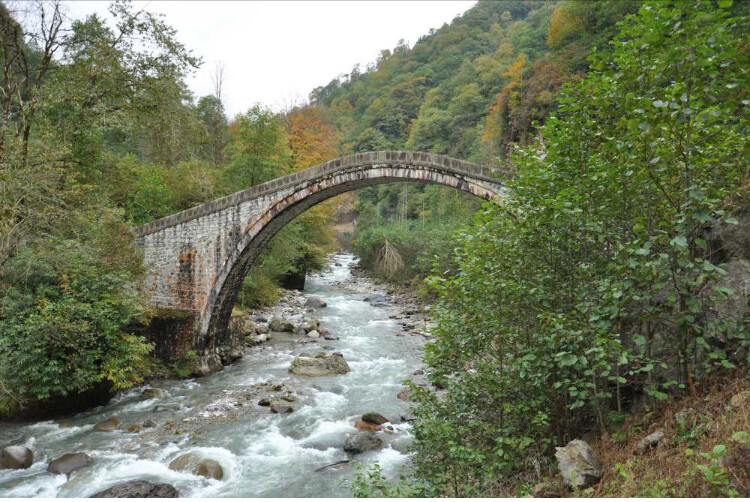 görüntü
