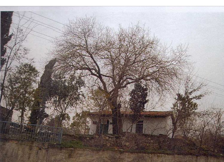 görüntü