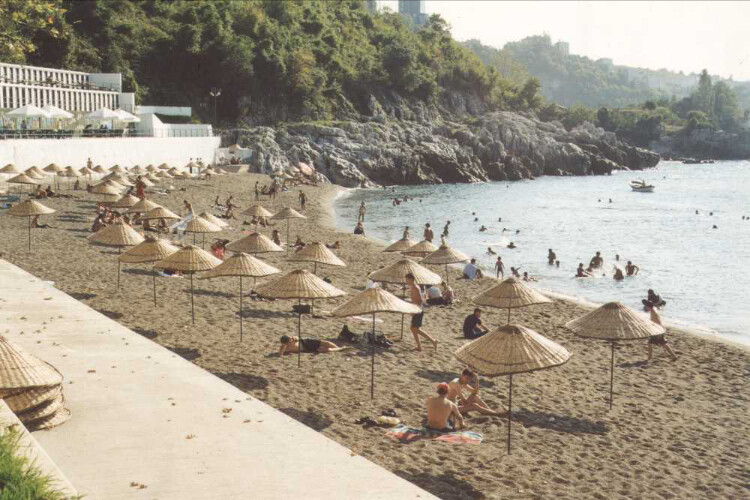 görüntü