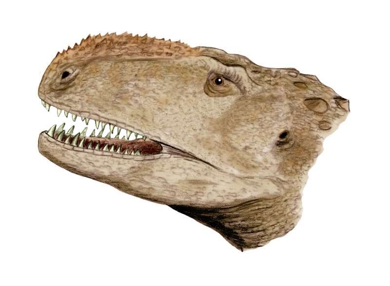 1730018826159.png