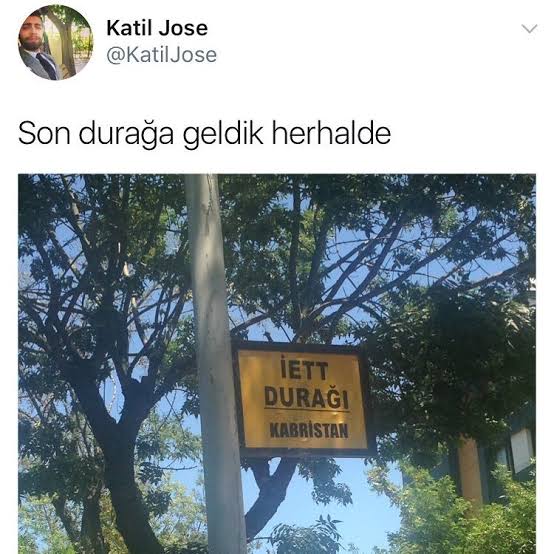 1756215529193.jpeg