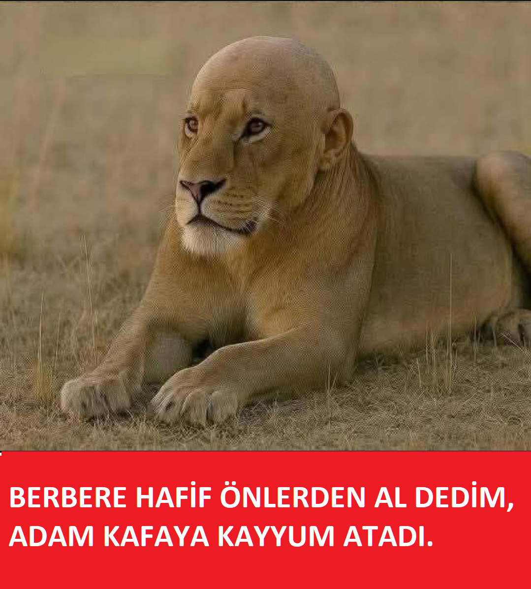 1757701815527.png