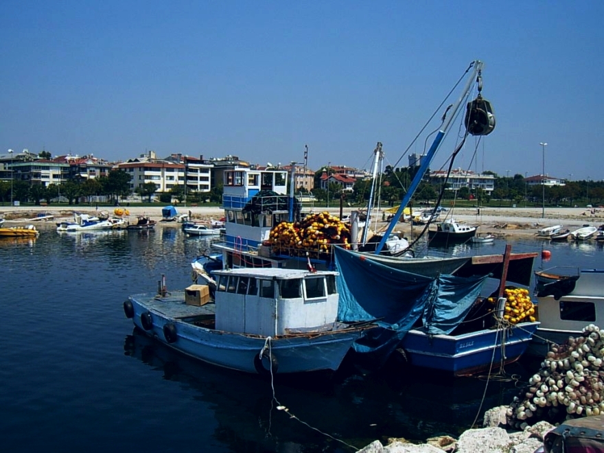 1805295705_26adedaa1e_o (1).jpg