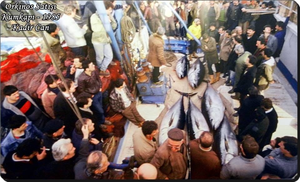 1985 Orkinos satışı Kumkapı Balıkhanesi