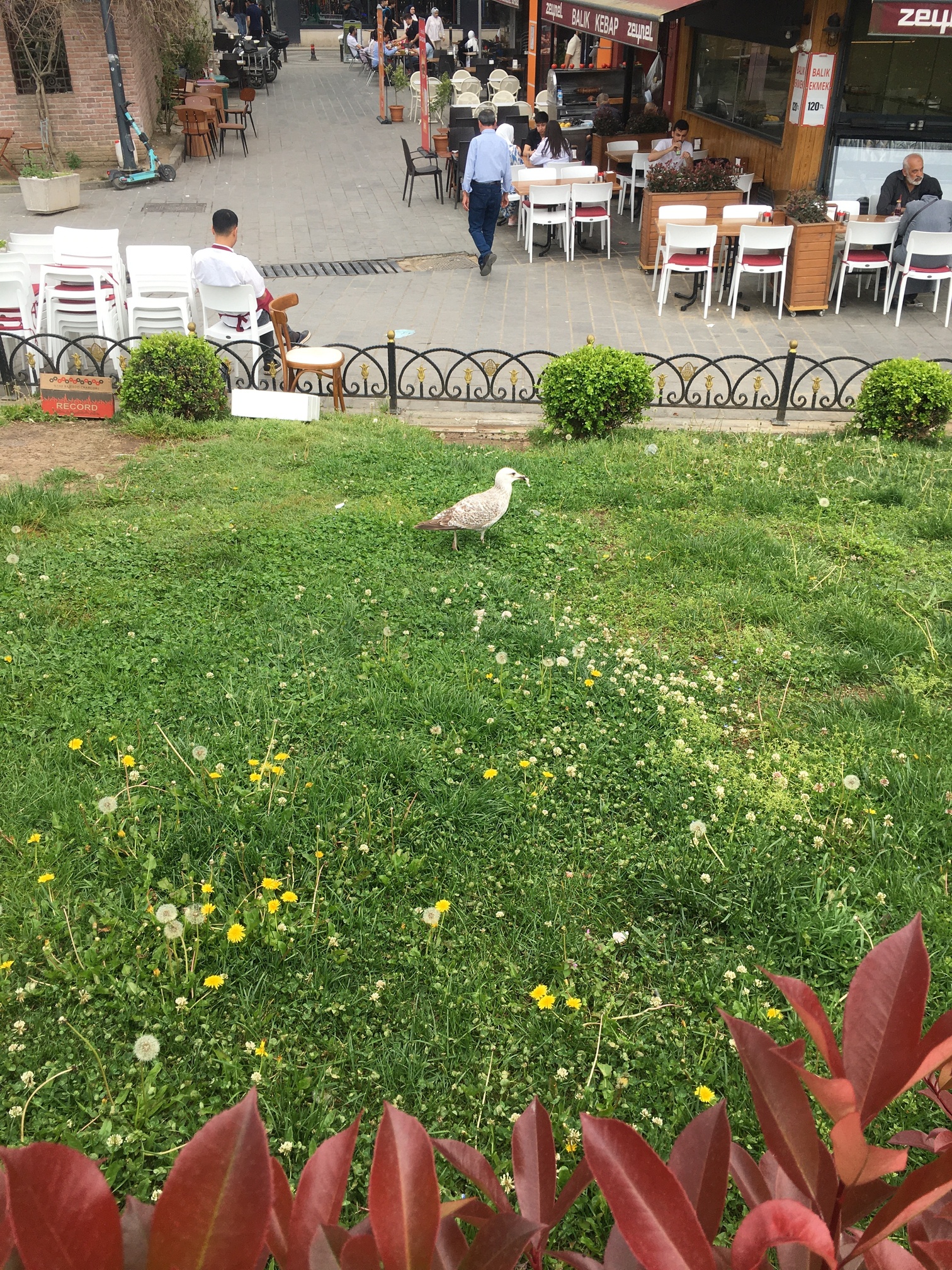 görüntü