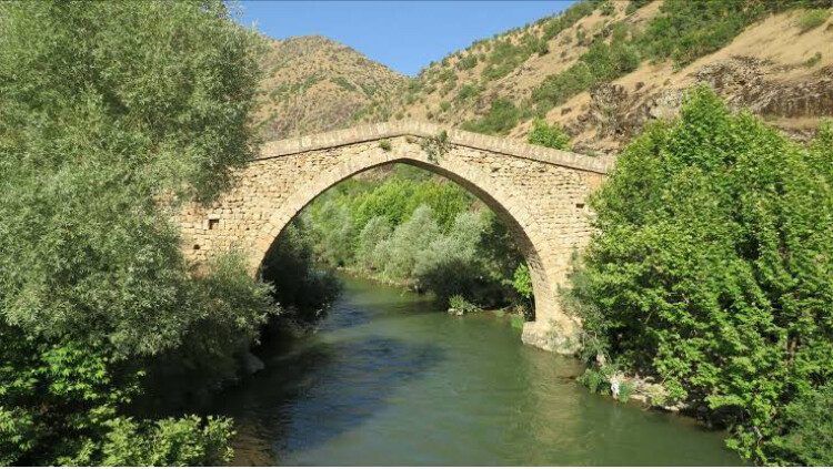 görüntü