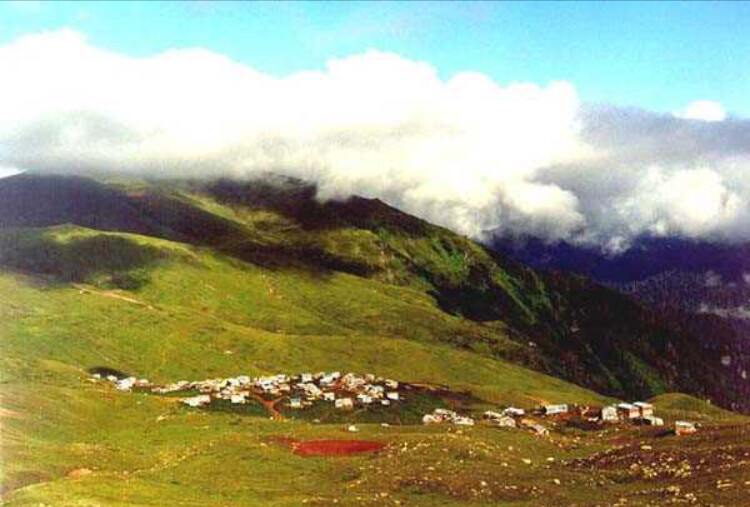 görüntü