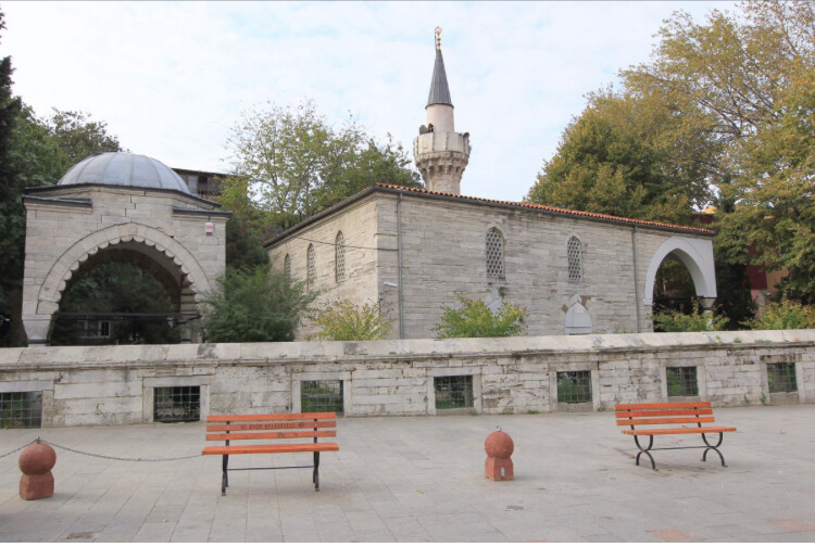 görüntü