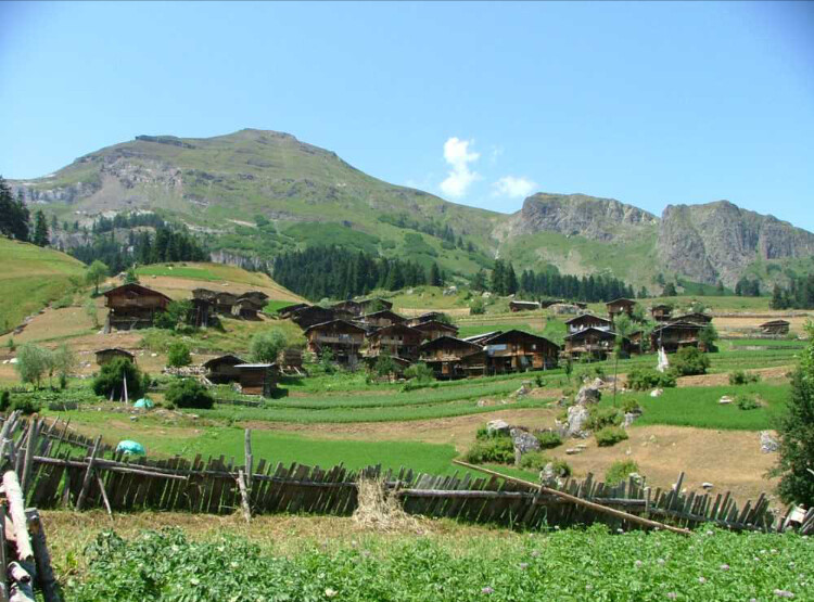 görüntü