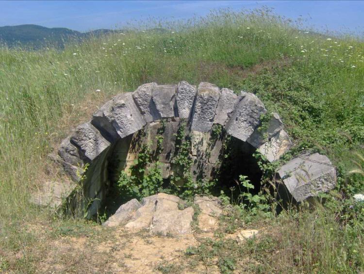 görüntü