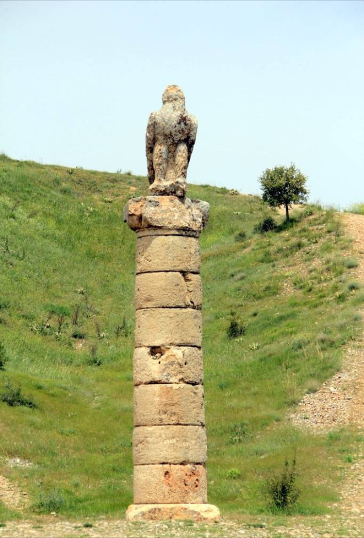 görüntü