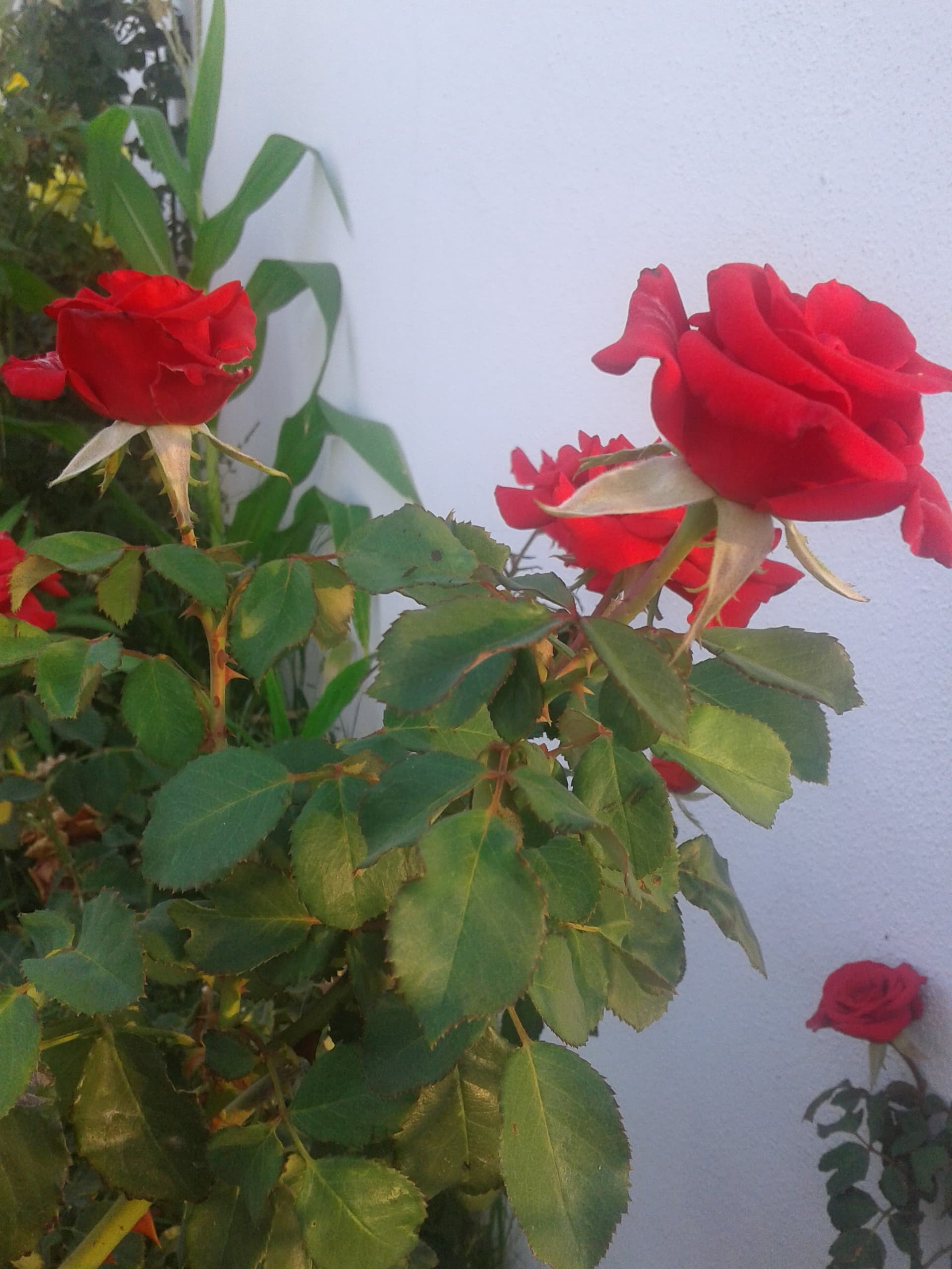 20150704_061059