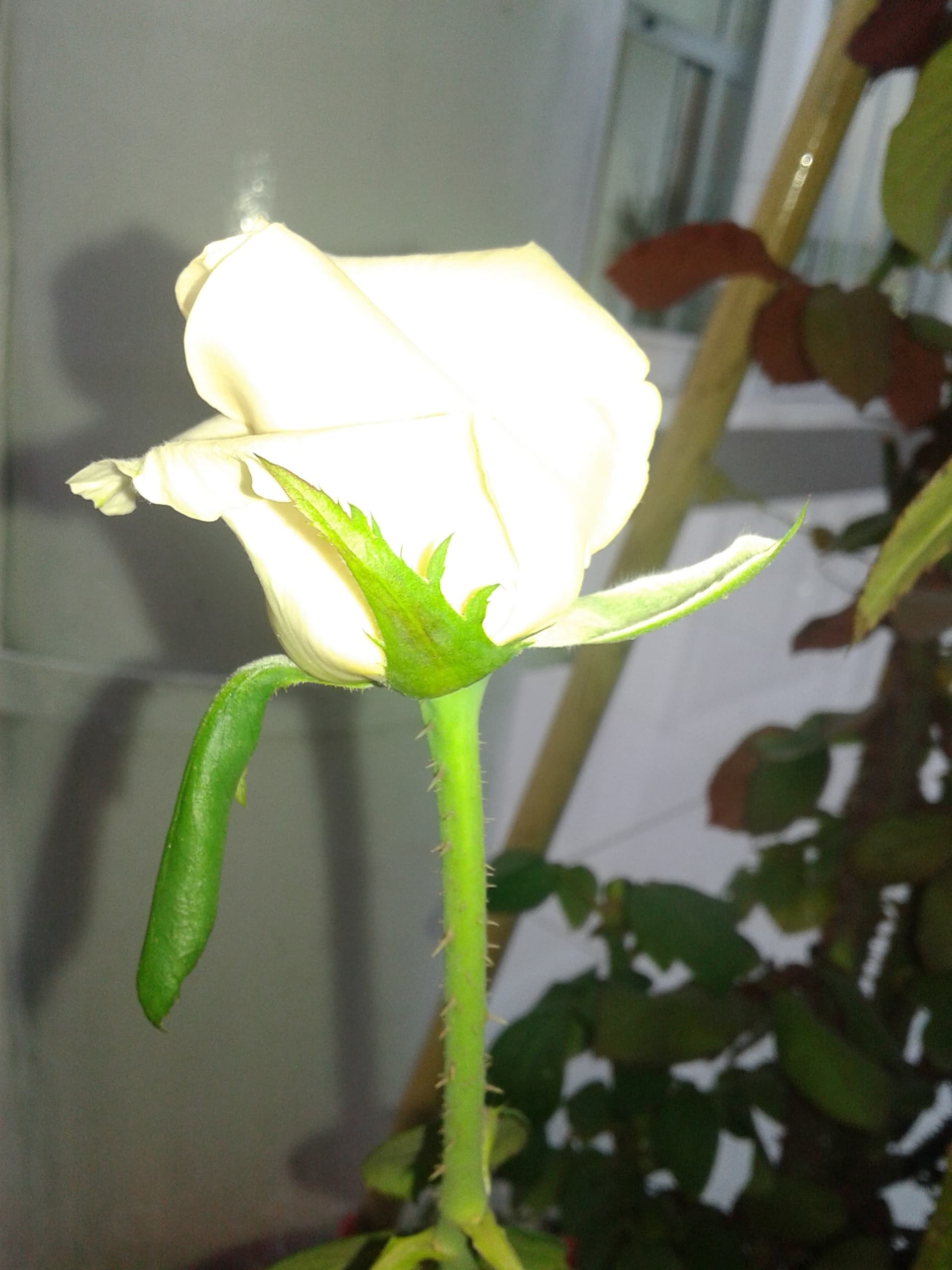 20151020_071104
