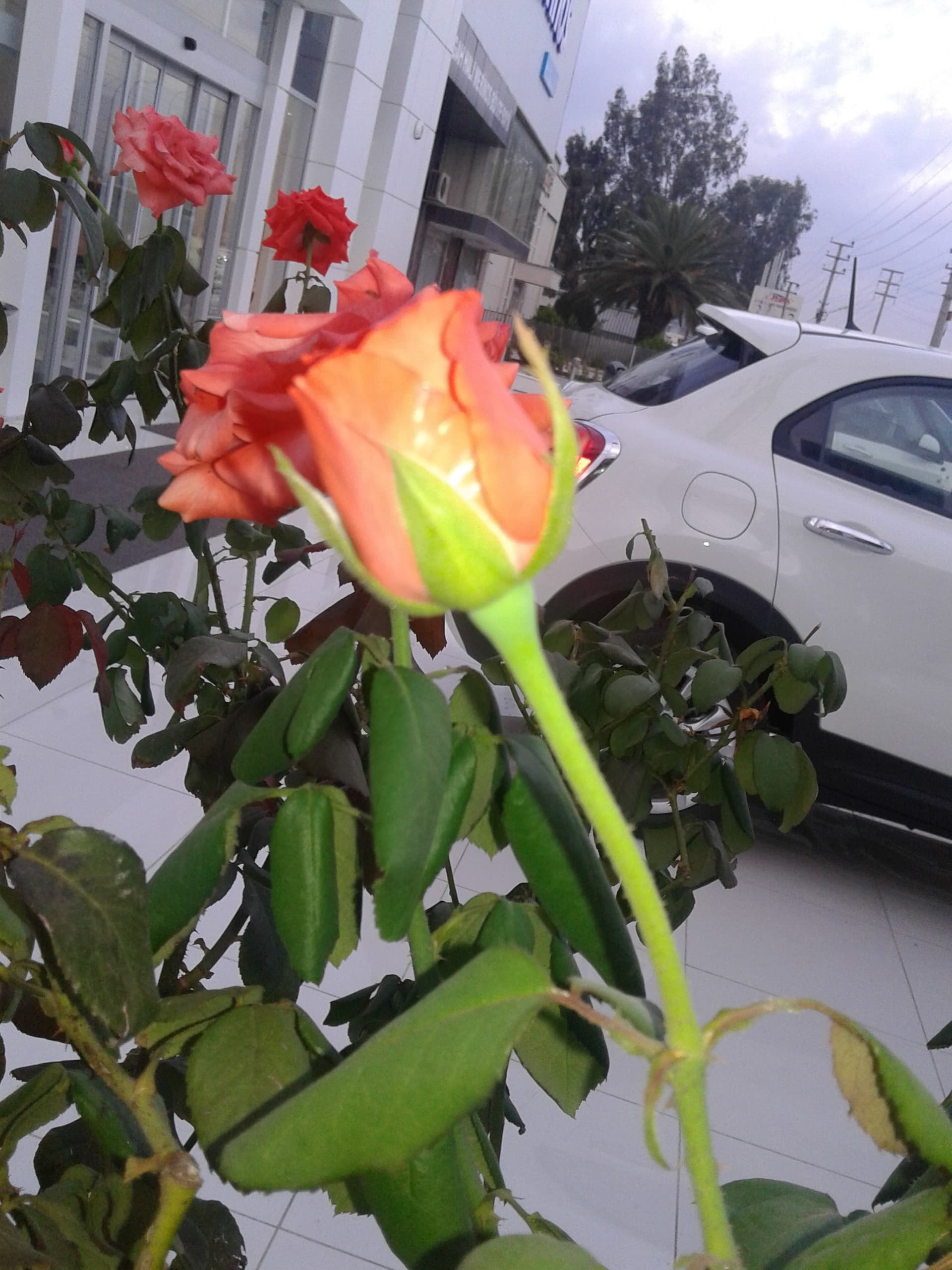 20151020_071115