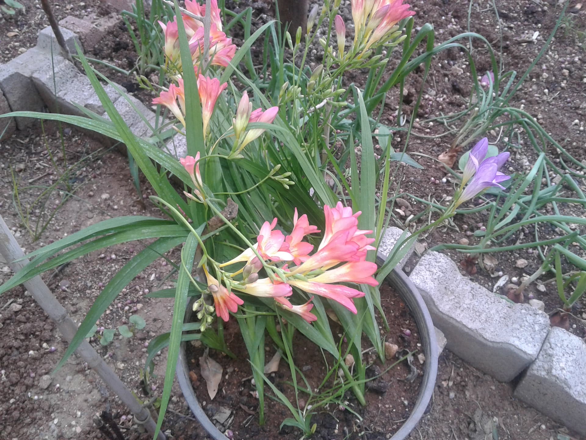 20160321_155700