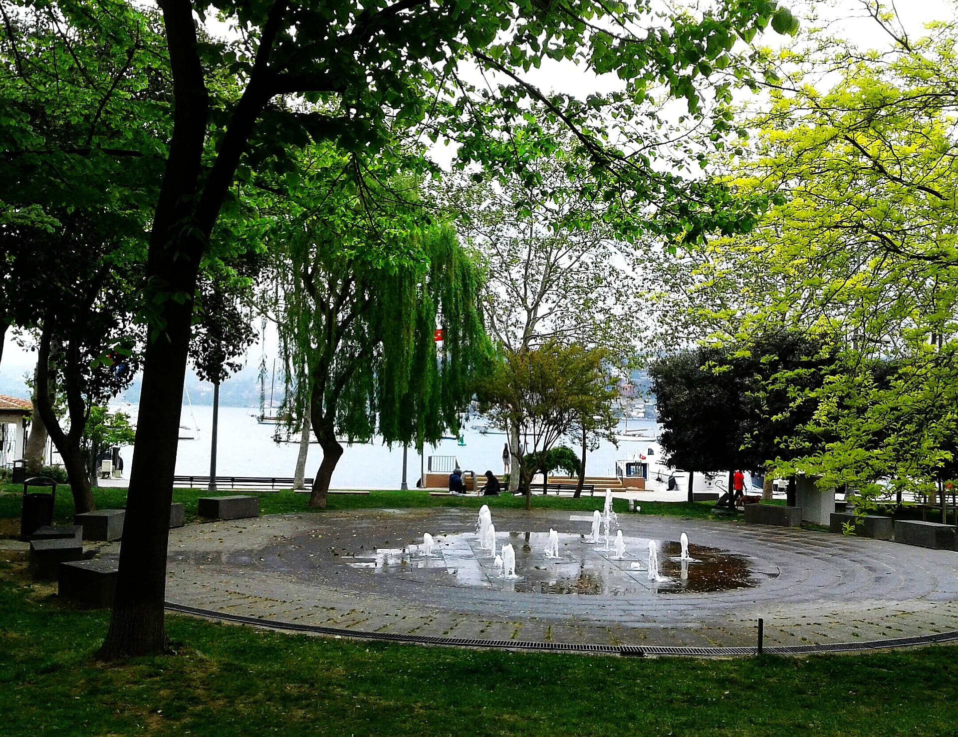 20170506_095957-1-1