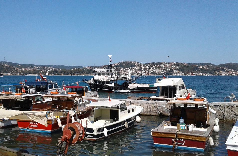 20170902_144118-1.jpg