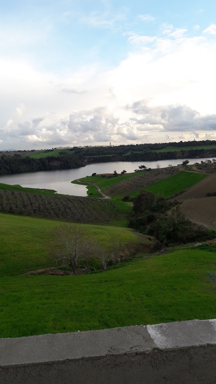 20190316_175742