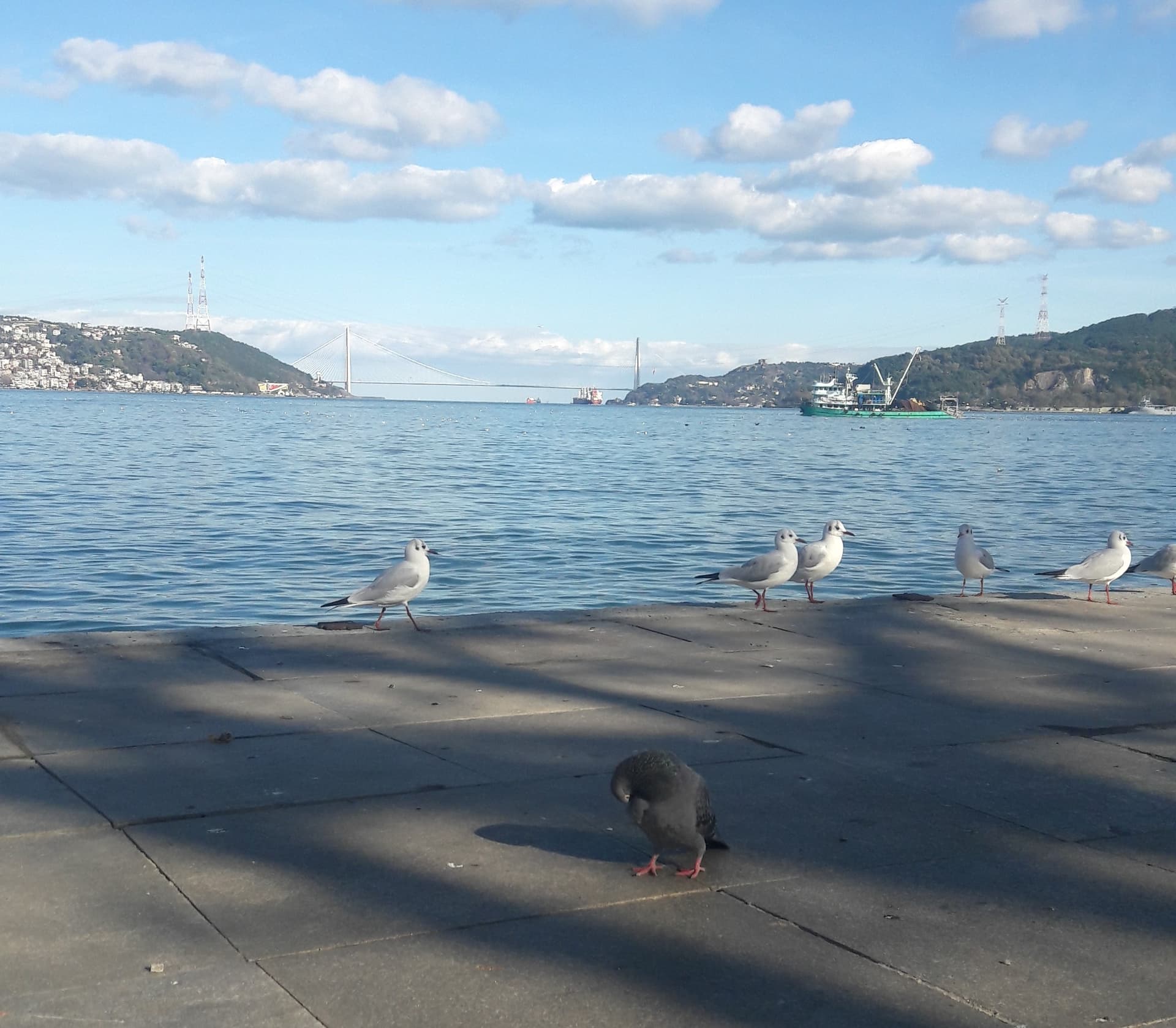 20191202_130032_Richtone(HDR)