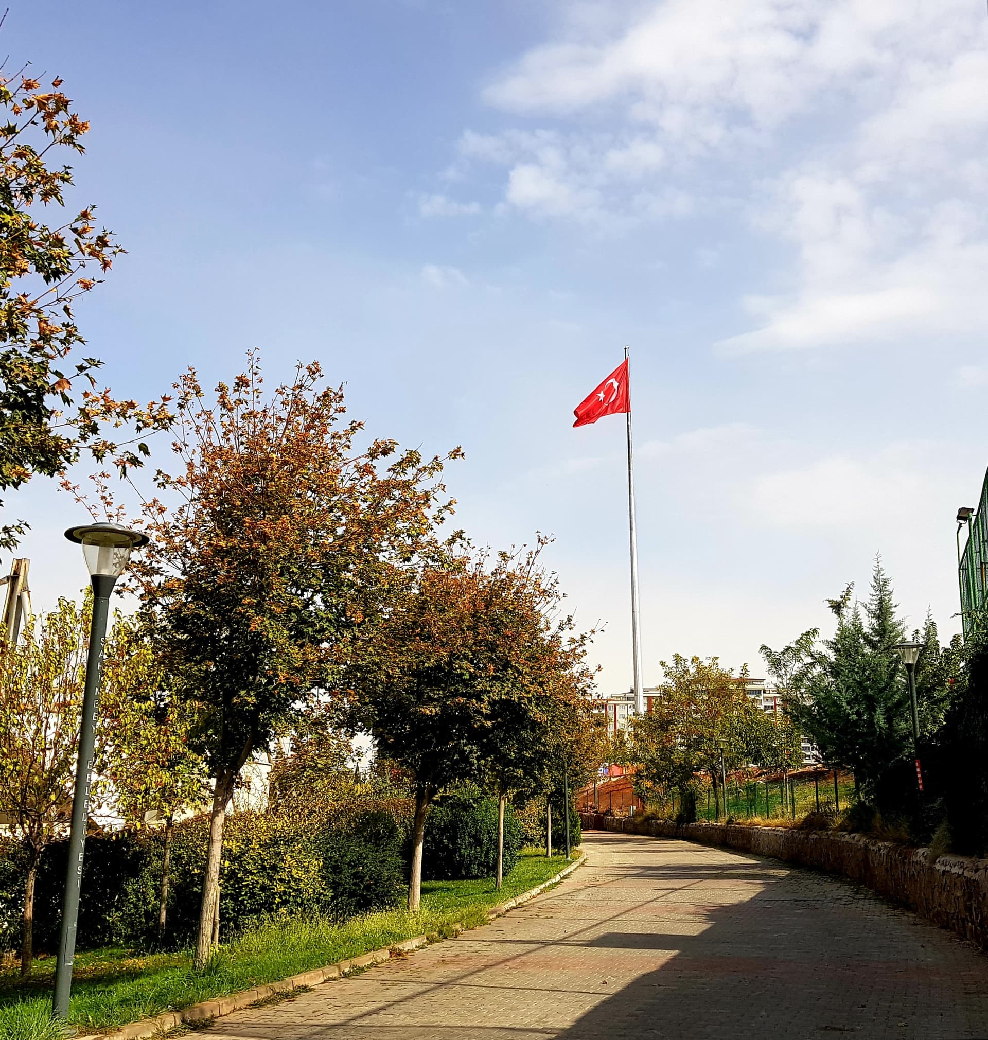 Bayrak