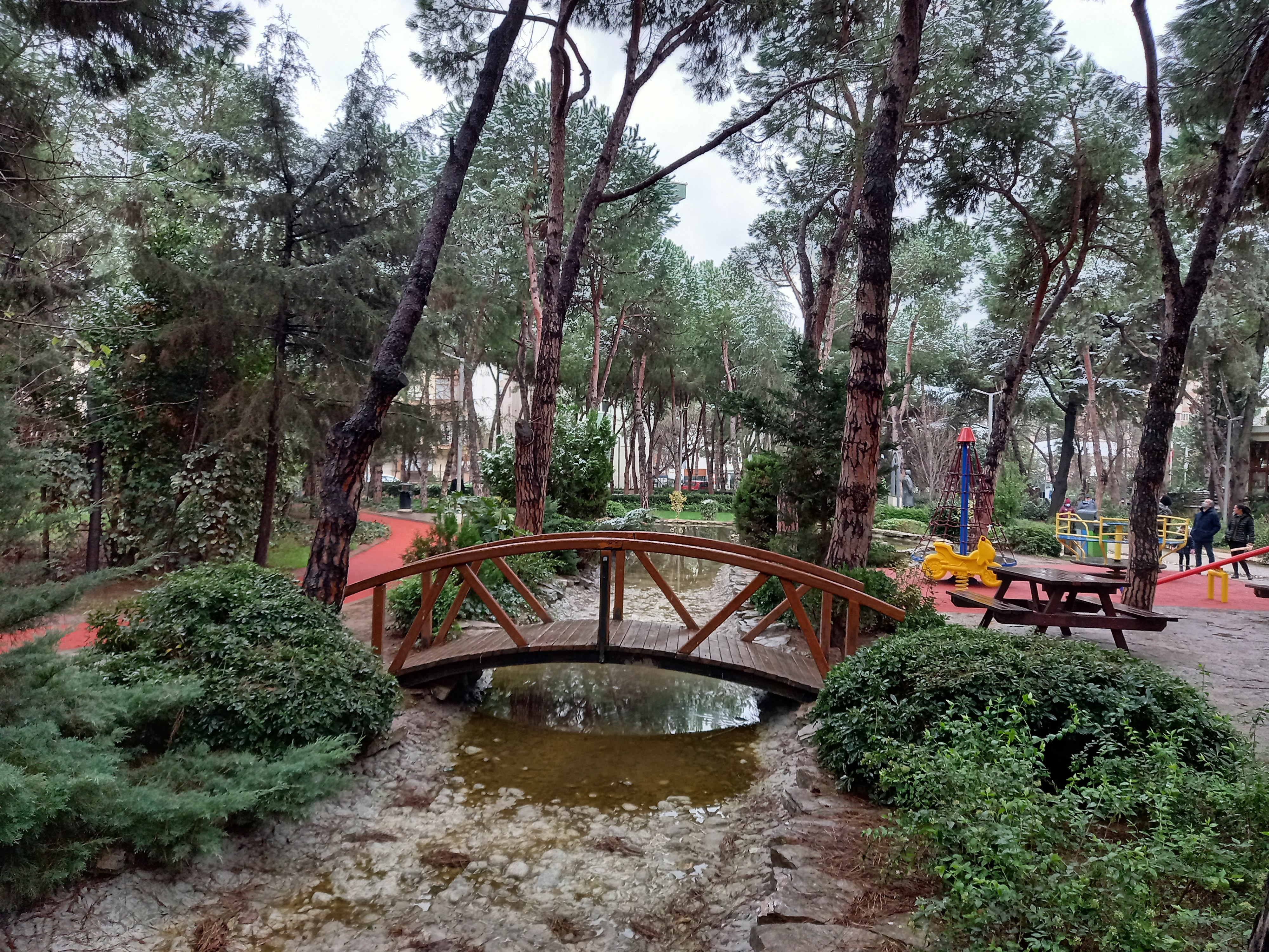 20220122_154334.jpg