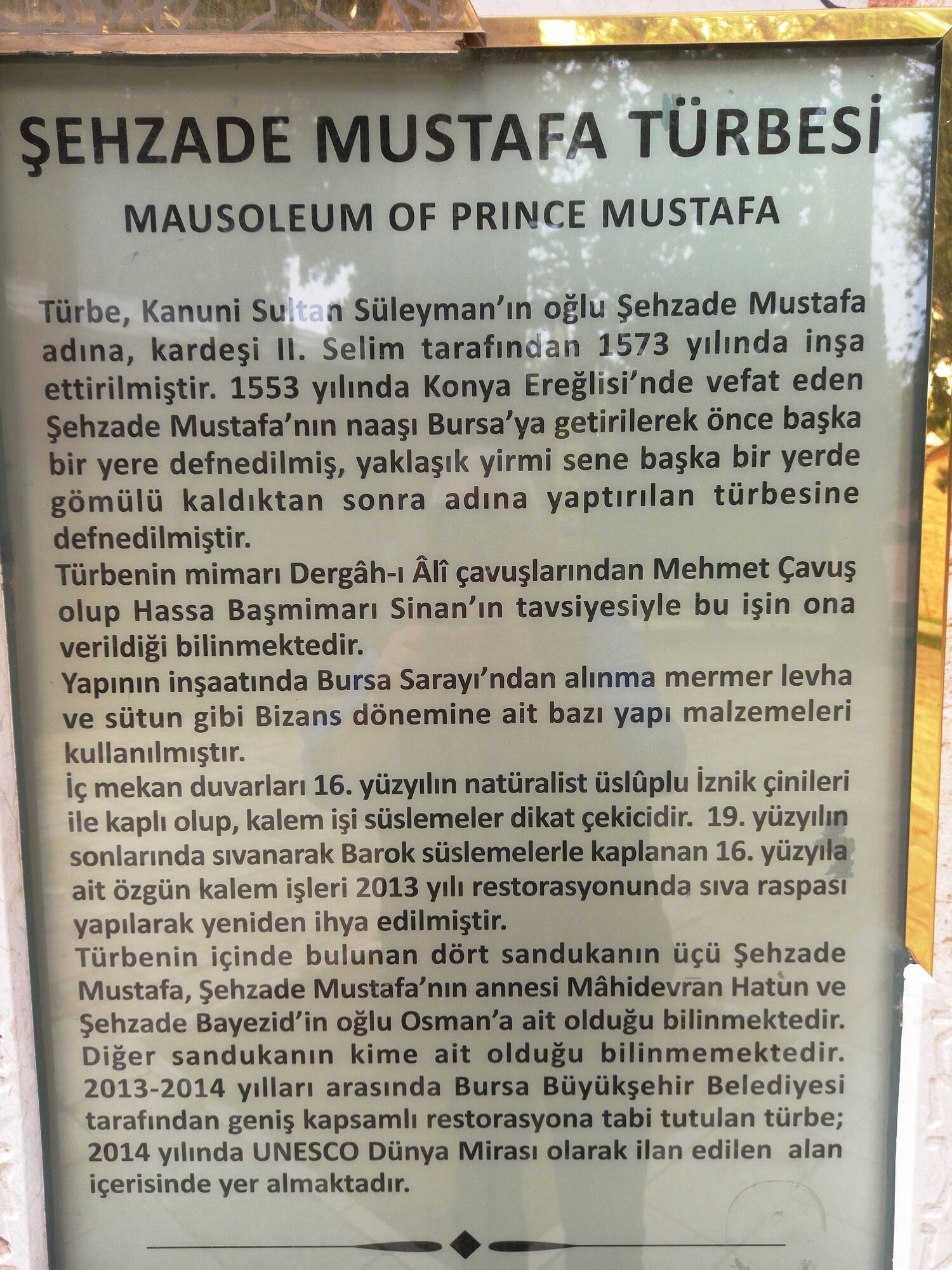 20220502_123231.jpg