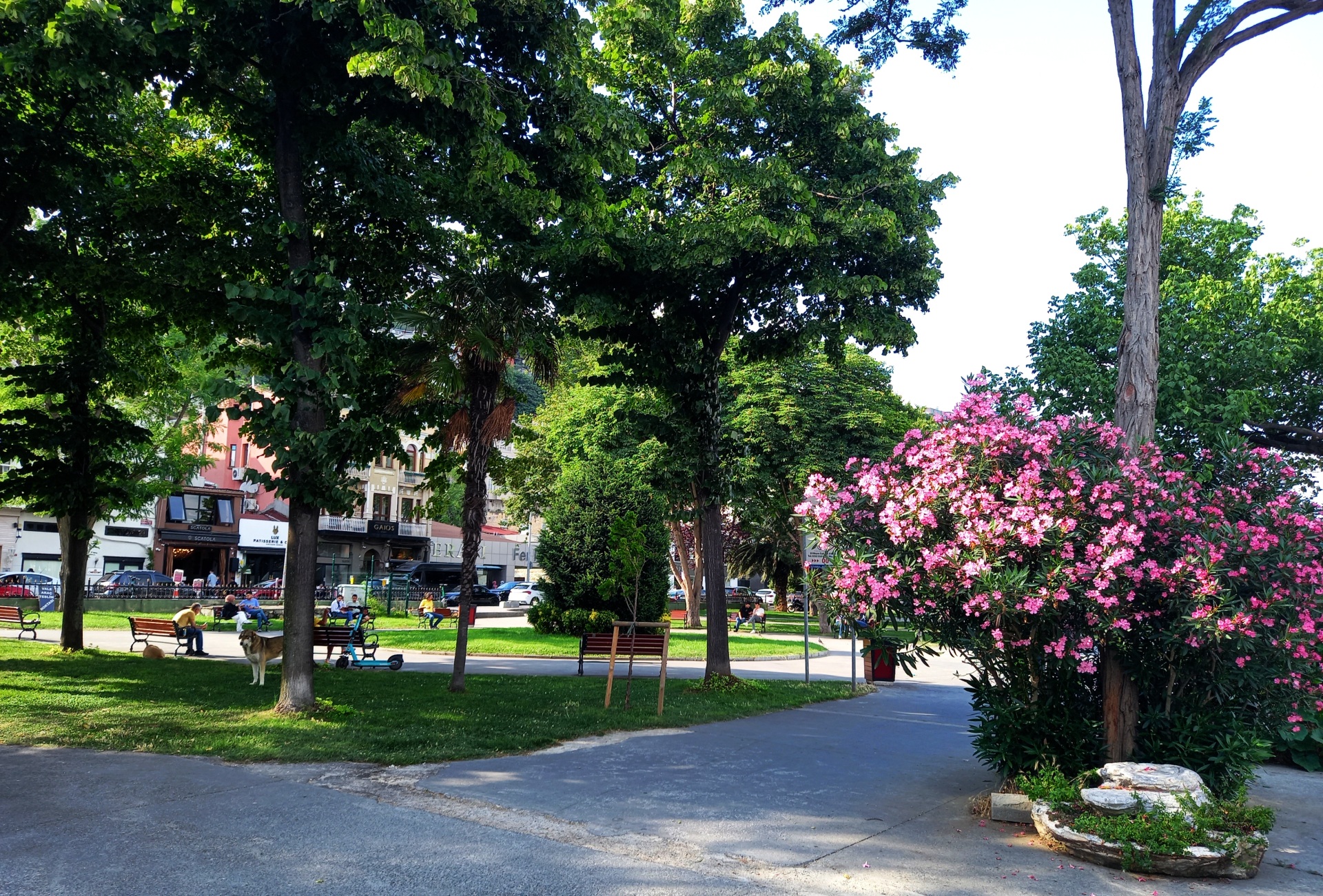 20220709_173037.jpg