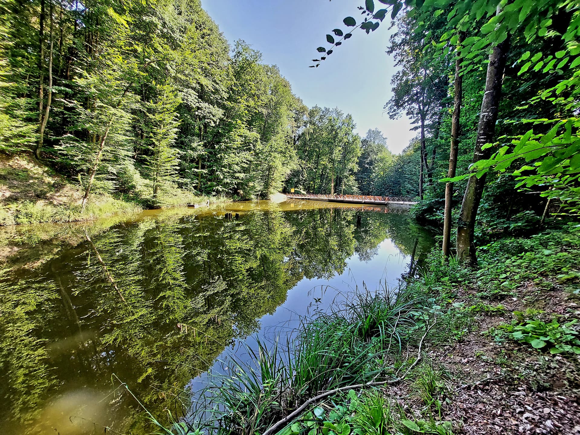 20230720_162928