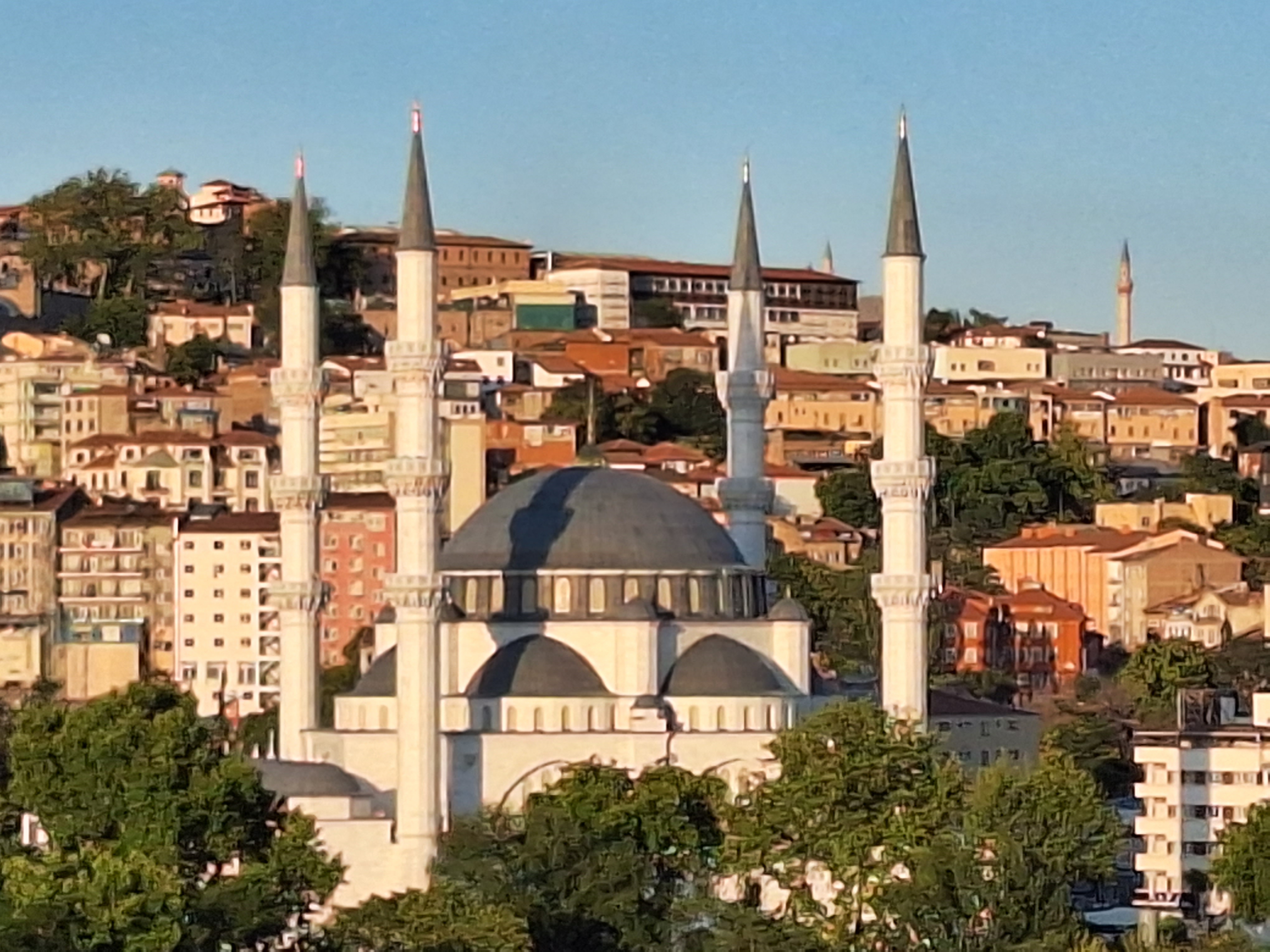 20230729_191333.jpg