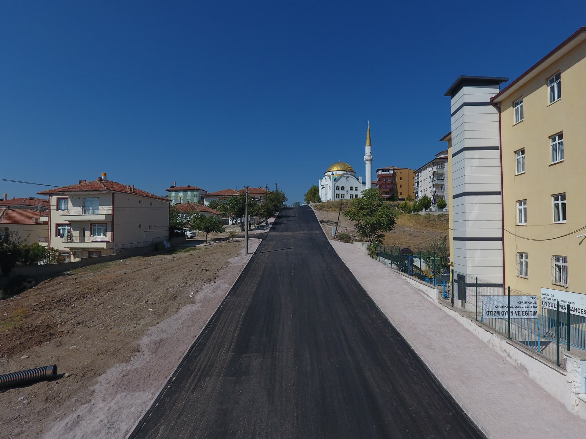 i184231